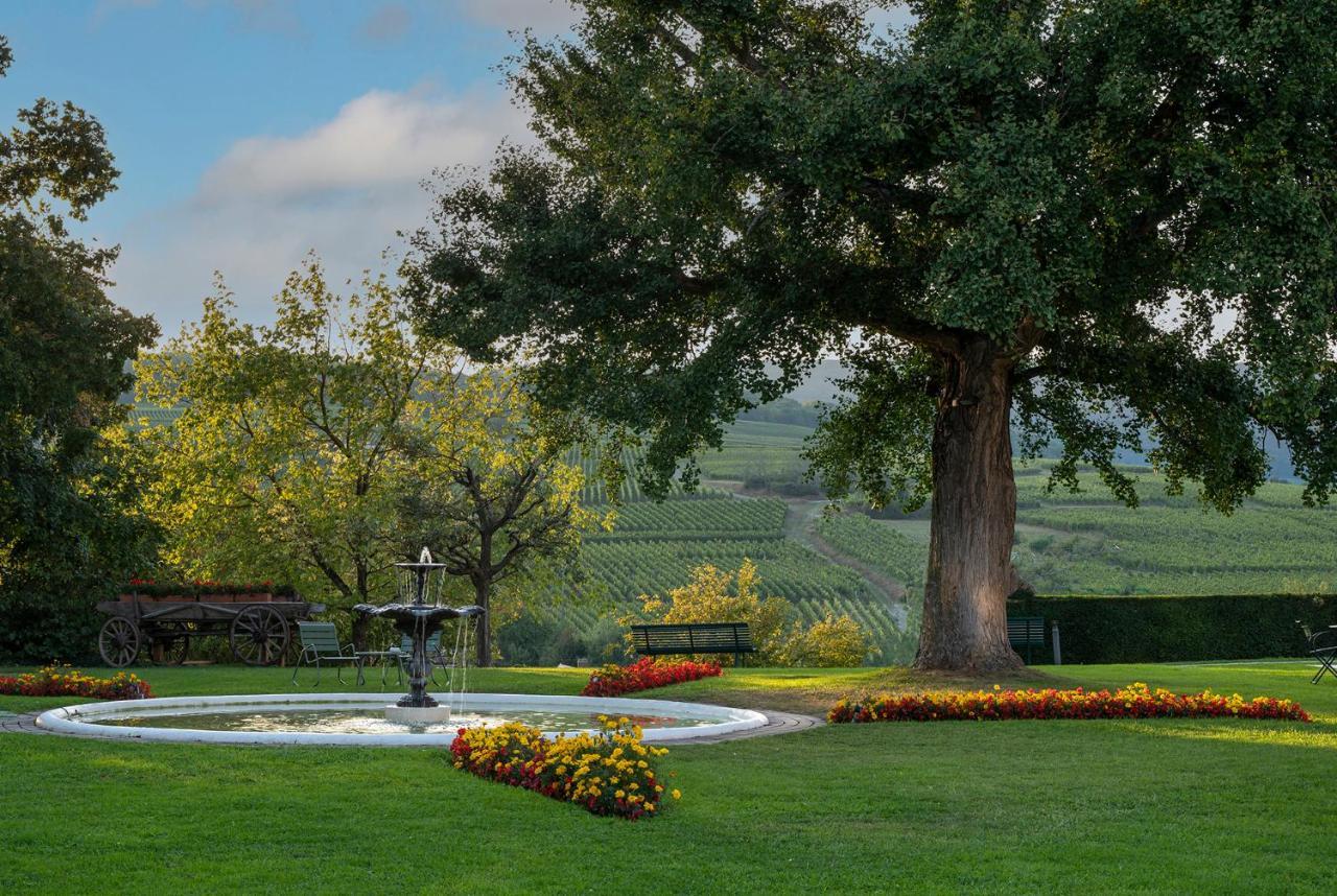 Chateau D'Isenbourg & Spa Rouffach Exterior photo