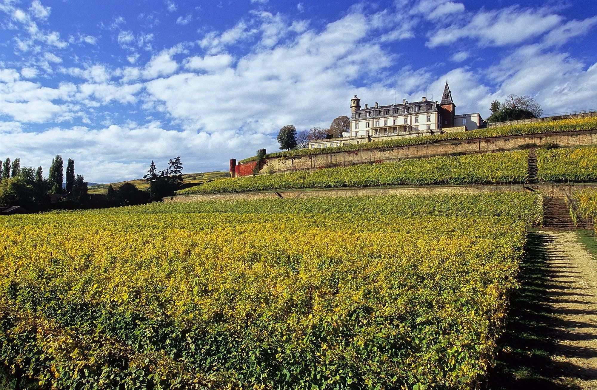 Chateau D'Isenbourg & Spa Rouffach Exterior photo